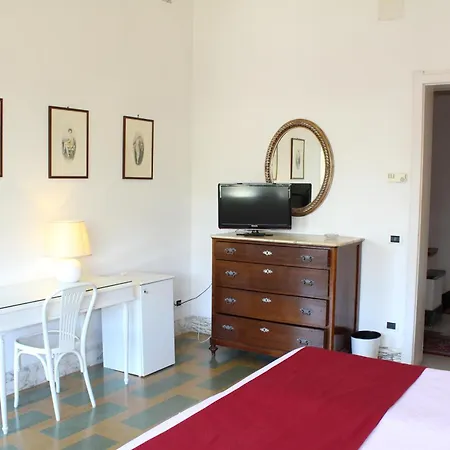 Edera Marina di Pietrasanta